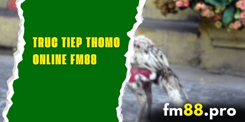 truc-tiep-thomo-FM88